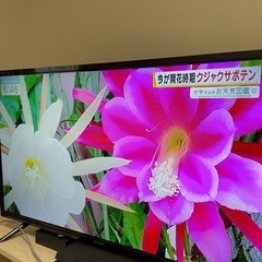 値下げしましたテレビ32インチ