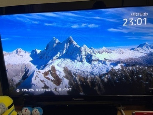 Panasonic TH-P42S2 2010年製 42V型