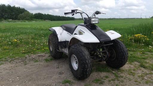 【現金決済のみ】YAMAHA　ブリーズ125CC　バギー　ATV