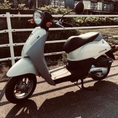 【ホンダ 】☆トゥデイ☆ 50cc 4サイクル 　スクーター　バ...