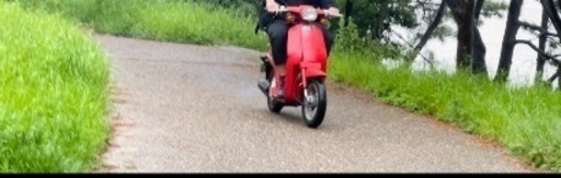 ホンダ スカイ SKY AB14 とスズキ ZZ CA1PB ホンダ（HONDA）SKYの