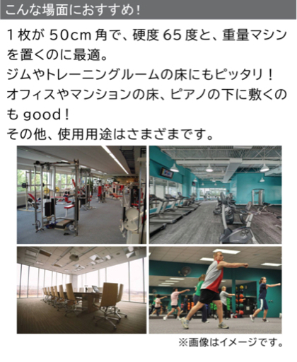 ジムマット 16枚 ワイルドフィット WILDFIT | inmarco.ae