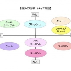 【ネット決済・配送可】顔タイプ診断アドバイザー