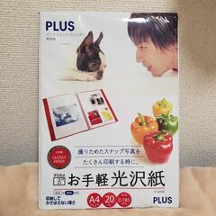 PLUS×EPSON　Ａ4インクジェットプリンター