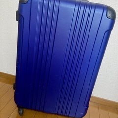 【大容量100L】スーツケース　☆即対応☆  北欧で購入