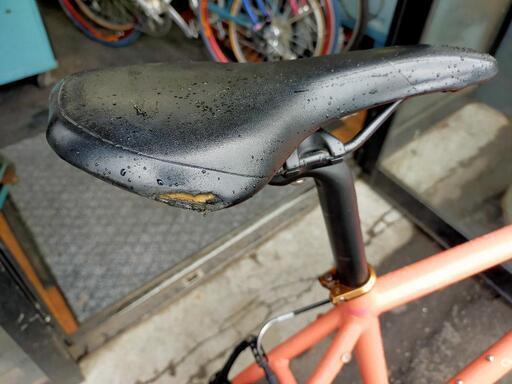大きめクロスバイク！ブリヂストン　グリーンラベル　シルバ　540サイズ