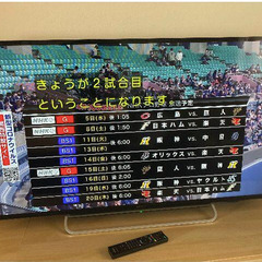 BRAVIA KDL-48W600B [48インチ]