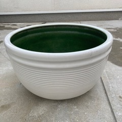 水蓮鉢