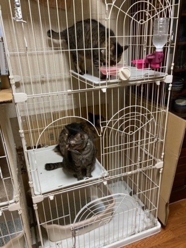 キャットゲージ3段　猫　ゲージ