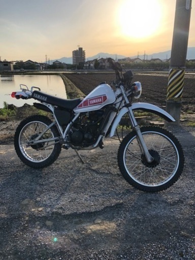 値下げしました dt50 希少 2スト