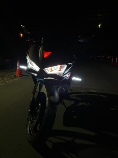 yzf-r25 2017年式　カスタム多数 yzf-r25 2017年式 カスタム多数 【公式通販】
