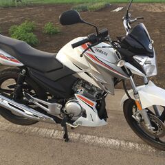 【ネット決済】ぴかぴか新車みたい　ヤマハ　YX125　　超低走行...