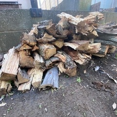 木材　薪　伐採木　無料　あげます