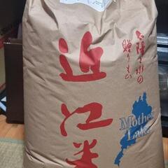 令和３年度　滋賀県産　コシヒカリ　玄米