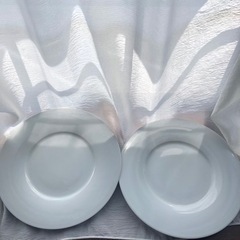 【無料】真っ白な大皿2枚