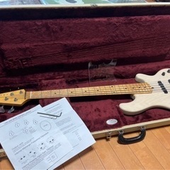 LAKLAND レイクランド　55-94 USA製　5弦ベース