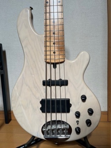 LAKLAND レイクランド　55-94 USA製　5弦ベース