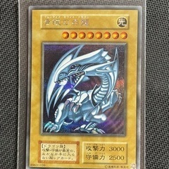 遊戯王 青眼の白龍 シークレットレア シクブル 海馬セット Kaiba set