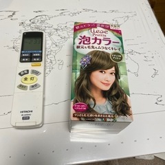 泡カラー 新品未使用  染め粉