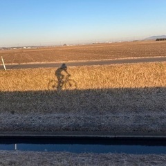 関東でロードバイクメンバー大勢募集中‼️