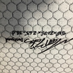 LIBTECH PUDDLE FISH ［パドルフィッシュ］5\'10\