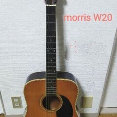 Guitar Morris W20~