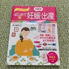 やさしくわかる　月齢別はじめての妊娠•出産