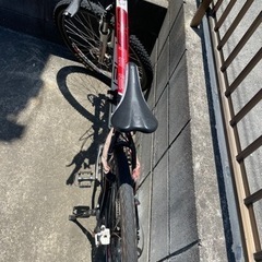 29インチ　マウンテン