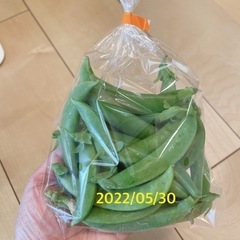 5/30 スナップエンドウ 無農薬 新鮮野菜 100円