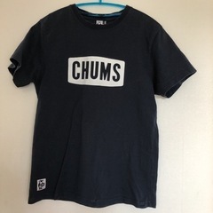 チャムスTシャツM