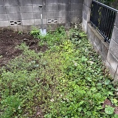 急募 明日自宅の草むしりをしていただける方 - 東松山市