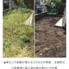 急募 明日自宅の草むしりをしていただける方 − 埼玉県
