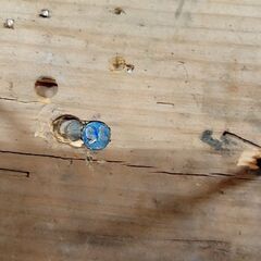 makita マキタ 125mm 常圧エア バラ打ち機 釘打機 AG125 (D4420tkxY)