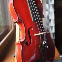 【選定分類：IV-⑥半手工品・仏蘭西】Violin Later19thCentury Work shop of A.Salvator ca1890