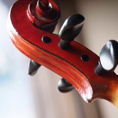 【選定分類：IV-⑥半手工品・仏蘭西】Violin Later19thCentury Work shop of A.Salvator ca1890