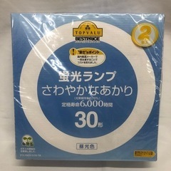 蛍光灯ランプ　30型昼光色　2本入　未開封