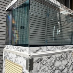 1500水槽 オーバフロー 海水魚 サンゴ にも！