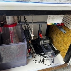 1500水槽 オーバフロー 海水魚 サンゴ にも！