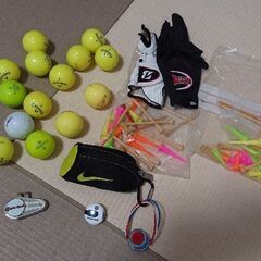 ワールドイーグル F-01a ゴルフクラブセット