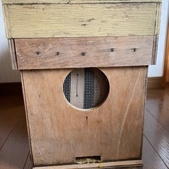 予約順　西洋蜜蜂群1箱　巣枠3枚　引き取りのみ　7月頃まで