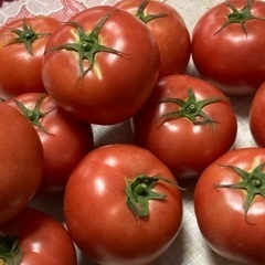 トマト　新鮮