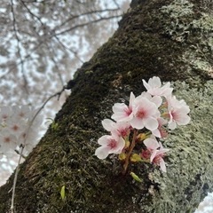 奈良市で勤務出来る方❗️大募集❗️週１日〜OK❗️