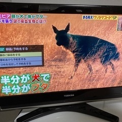 【無料！】32型テレビ！TOSHIBA REGZA！