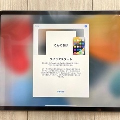 iPad Pro (第4世代) 12.9インチ 128GB