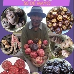 5月30日は全国ジャガイモの日