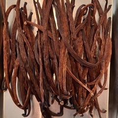 バリ島プラガ産 バニラビーンズ ブルボン品種 100g bali plaga