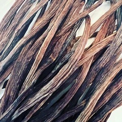 バリ島プラガ産 バニラビーンズ ブルボン品種 100g bali plaga バリ島プラガ産 バニラビーンズ ブルボン品種 100g bali plaga