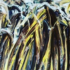 バリ島プラガ産 バニラビーンズ ブルボン品種 100g bali plaga