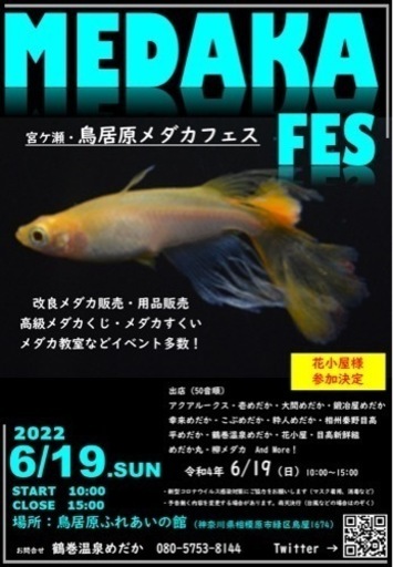 6 19宮ヶ瀬 鳥居原メダカフェス開催 鶴巻温泉めだか 相模湖の地域 お祭りのイベント参加者募集 無料掲載の掲示板 ジモティー