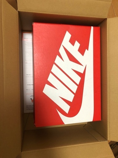 Nike GS Dunk 25cm 新品未使用